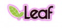 Студия Leaf Студия Leaf